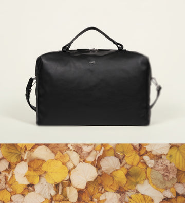 AUTUMN DAYS TRAVEL